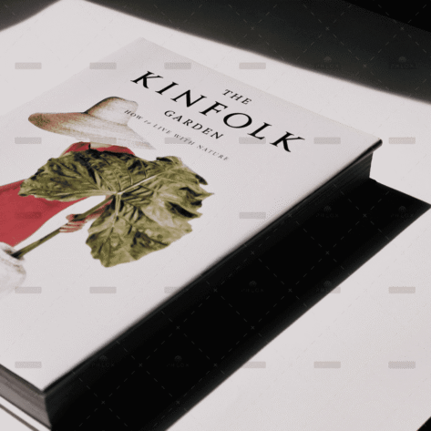 demo-attachment-1008-jocelyn-morales-F6ui3ZRaiWk-unsplash-1